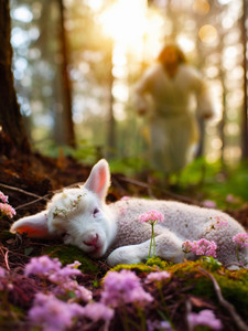Springtime Sheep Print Springtime Sheep Print