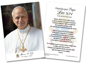 Spanish Pope Leo XIV Formal Portrait 4x6 Holy Cards Spanish Pope Leo XIV Formal Portrait 4x6 Holy Cards