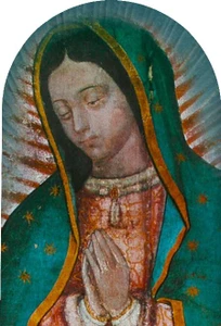 Our Lady of Guadalupe Detail Arched 8x12" Aluminum Print
