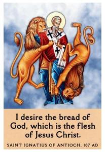 Windows to Paradise - St. Ignatius Aluminum Print