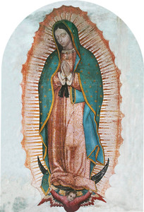 Our Lady of Guadalupe Arched 8x12" Aluminum Print Our Lady of Guadalupe Arched 8x12" Aluminum Print