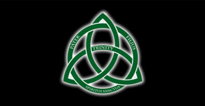 Trinity Logo Vinyl Bumper Sticker Trinity Logo Vinyl Bumper Sticker