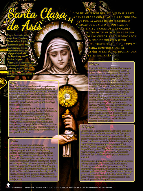 Spanish St. Catherine Laboure and the Miraculous Medal Explained Poster -  Catholic to the Max - Online Catholic Store