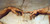 The Creation of Adam Detail Mug The Creation of Adam Detail Mug