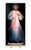 Spanish Divine Mercy Original Vilnius Banner Stand