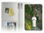 Pope Benedict in Mountains Magnet Pope Benedict in Mountains Magnet