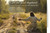 Good Shepherd Scripture Greeting Cards Good Shepherd Scripture Greeting Cards