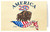 America250™Buffalo Greeting Card