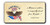 "All Power Is Vested In" America 250 Magnet