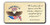 "The Care of Human Life" America 250 Magnet