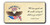 "We Came Equals" America 250 Magnet