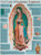Our Lady of Guadalupe Explained Poster Our Lady of Guadalupe Explained Poster