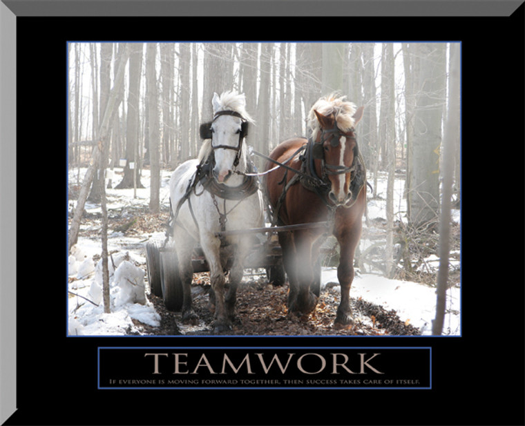Teamwork Wall Plaque
