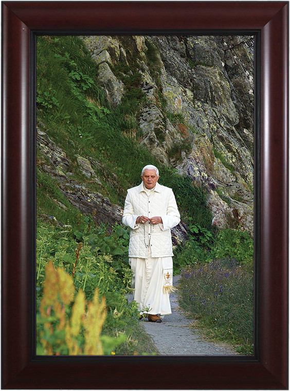 Pope Benedict In Mountains - Cherry Framed Art