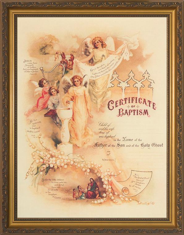 Certificate of Baptism II Gold Framed