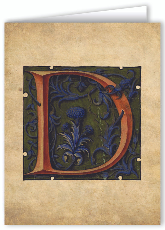 Letter D Illuminated Manuscript Note Card
