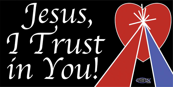 Divine Mercy Heart Vinyl Bumper Sticker