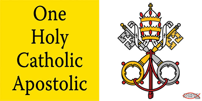 One Holy Catholic Apostolic Vinyl Bumper Sticker