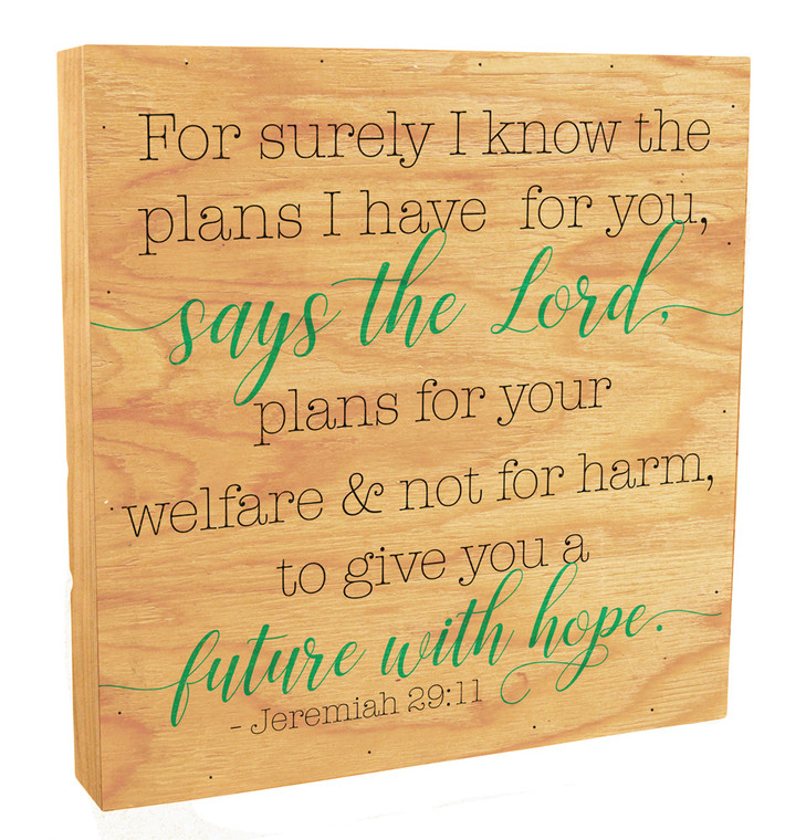 "I Know The Plans I Have For You" Rustic Box Art  "I Know The Plans I Have For You" Rustic Box Art