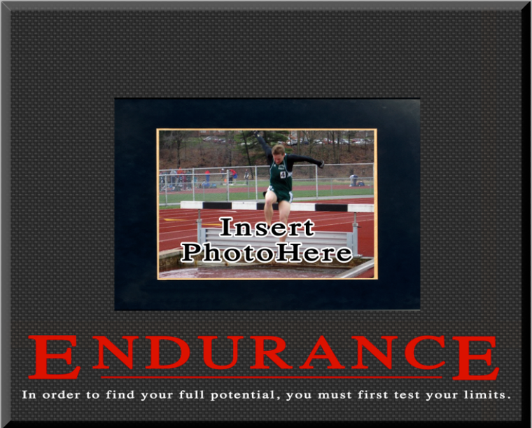 "Endurance" Picture Frame "Endurance" Picture Frame
