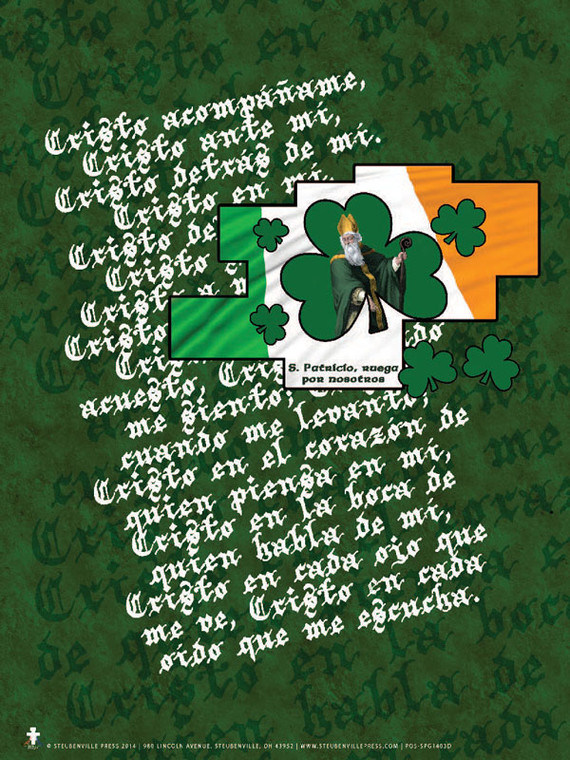 Spanish St. Patrick With Prayer Poster