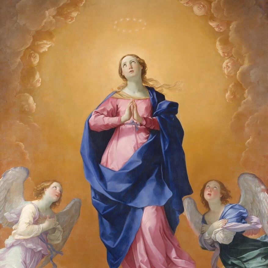 Immaculate Conception