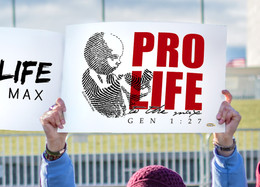 PRO LIFE Waterproof Signs (Pack of 12) - Catholic to the Max - Online ...