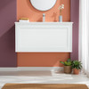 Fineline - Wall Hung Vanity & Top 900mm 