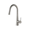 Sapphire - Brushed Nickel Pullout Sink Mixer