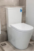 Madrid - Rimless & Whirlpool Hygienic Glaze toilet