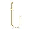 Care - Brushed Gold Sliding Shower Set 900mm Rail 