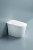 Mint Smart Toilet Suite – Smart Bidet with UV Sterilisation & Instant Heating 
