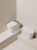Ash Smart Toilet Suite - AI Voice Control, UV Sterilisation & Smart Flush 