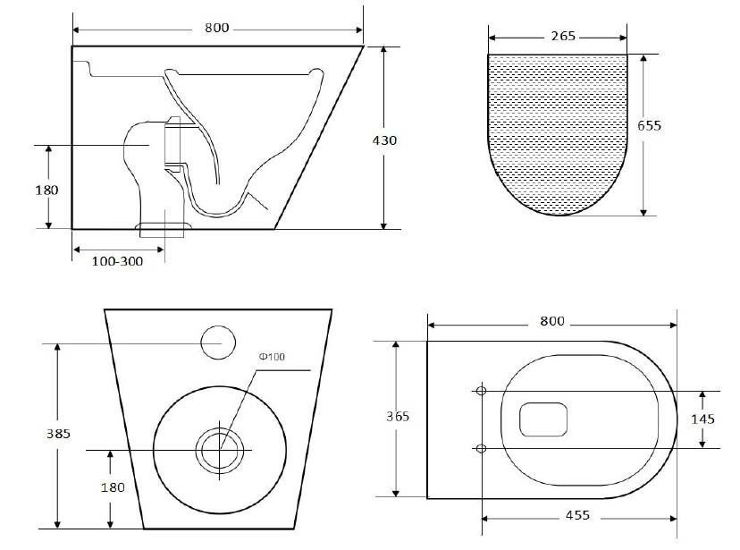 Buy WCCAREBI Disabled Care Floor Mounted Toilet
