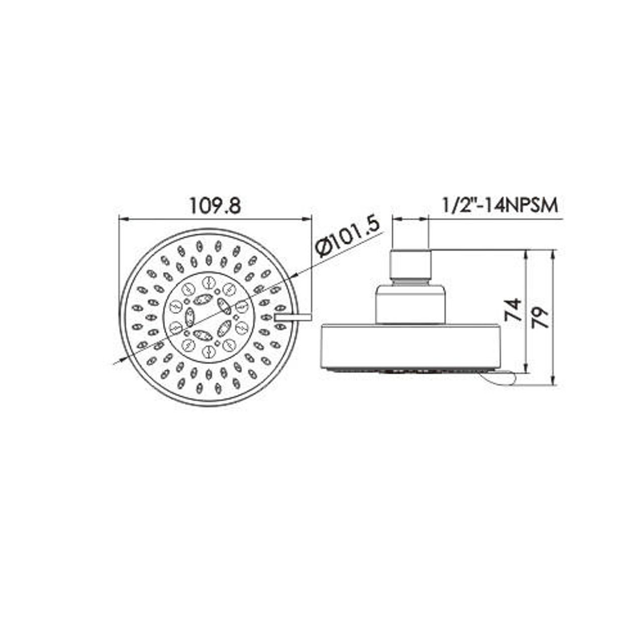 Buy Coral Chrome Shower Head