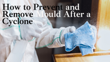 How to Prevent and Remove Mould After a Cyclone: Essential Steps for Australian Families