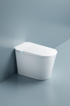 Mint Smart Toilet Suite – Smart Bidet with UV Sterilisation & Instant Heating 