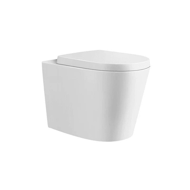 Rhino - Rimless Floor Mounted Toilet Pan 