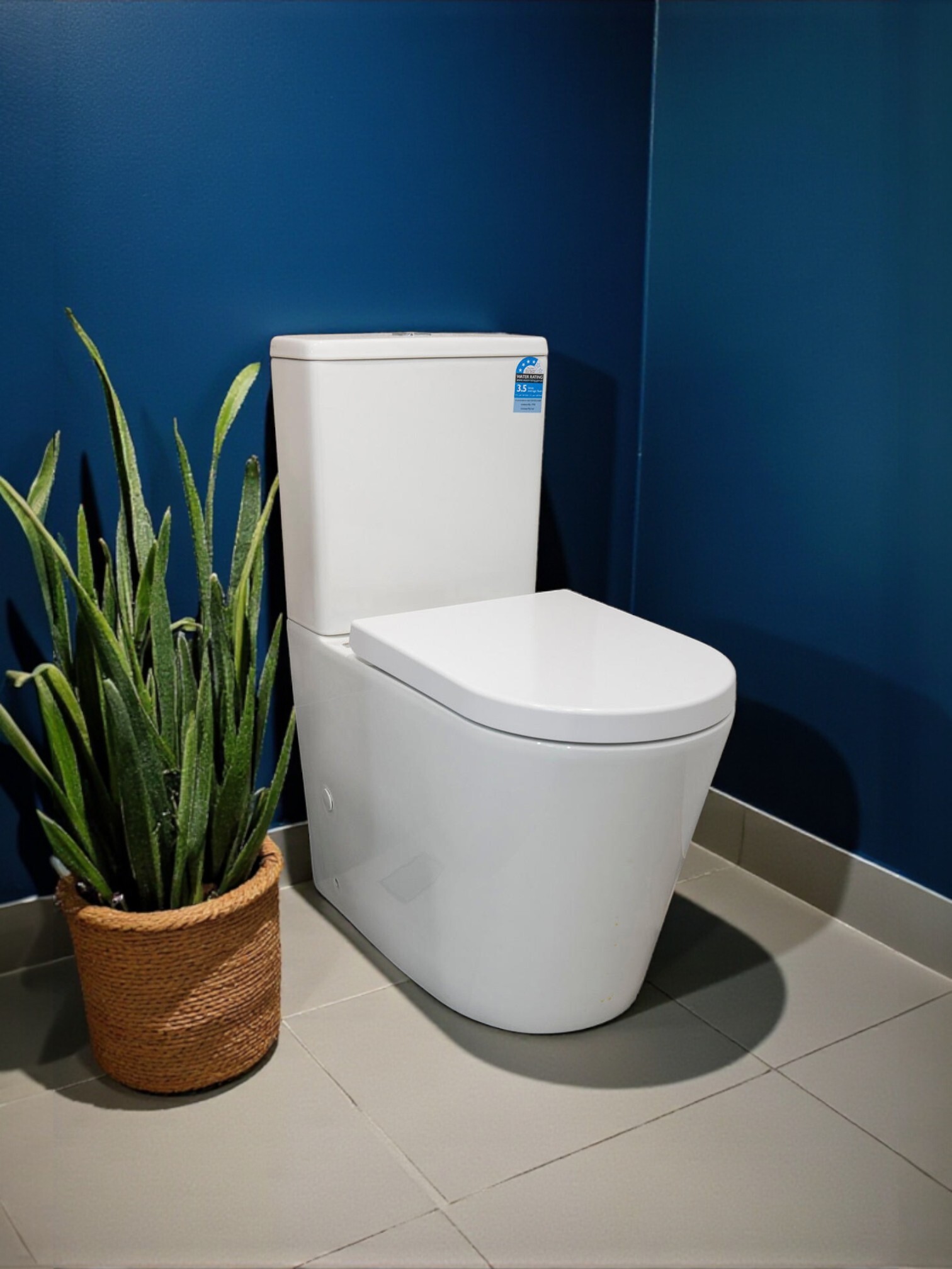Madrid Rimless Toilet Suite with whirlpool and hygienic glaze