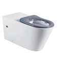 WCCAREBI - Disabled Care Floor Mounted Toilet