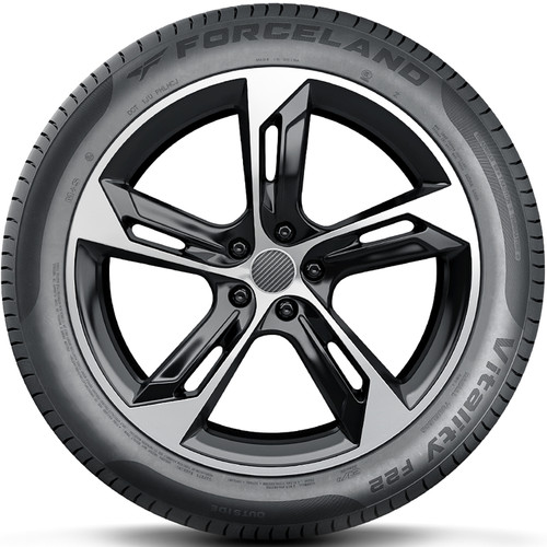 Forceland Vitality F22 205/55R16 91V