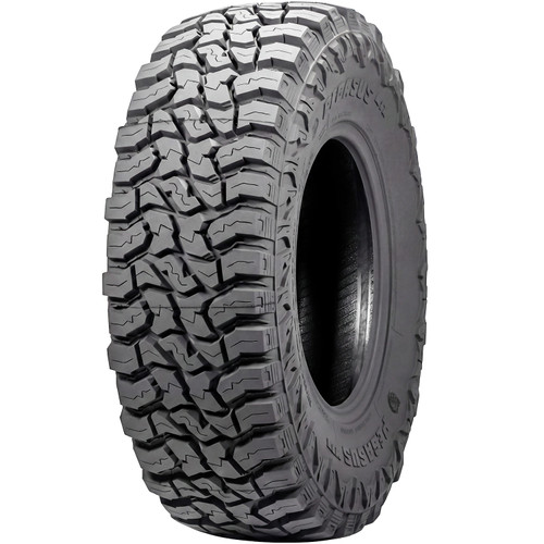 Pegasus MTX LT 245/75R16 120/116Q E (10 Ply)