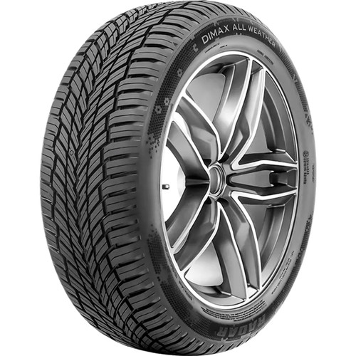 Radar Dimax All Weather EV Ready 205/50R17 93W XL