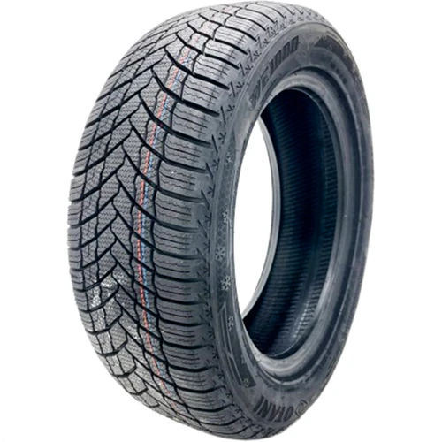 Otani WE1000 195/55R15 85H