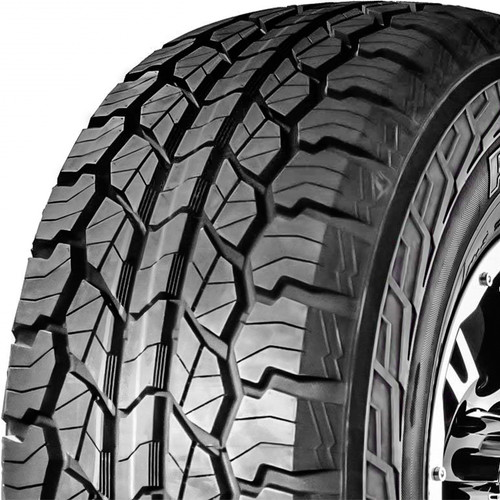 Rydanz Raptor R09 A/T 265/65R17 112H