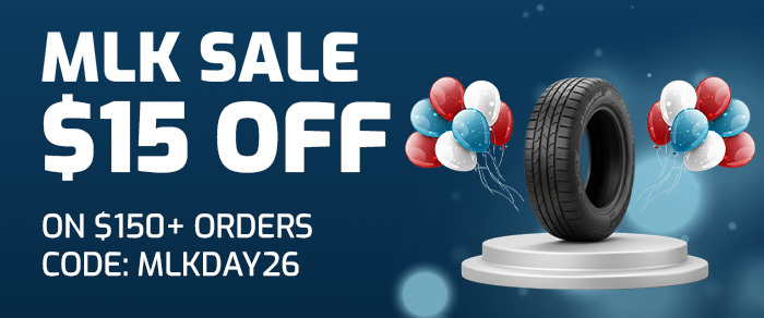 Martin Luther King Jr Day Promo