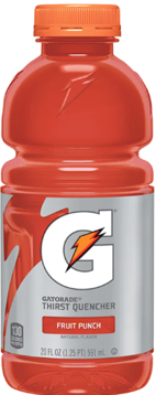 Gatorade Fruit Punch 590ml