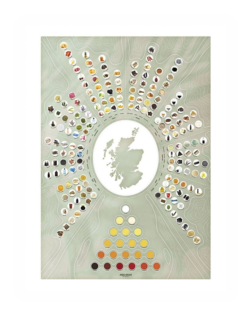 Angel Share Artworks Whisky Tasting Chart