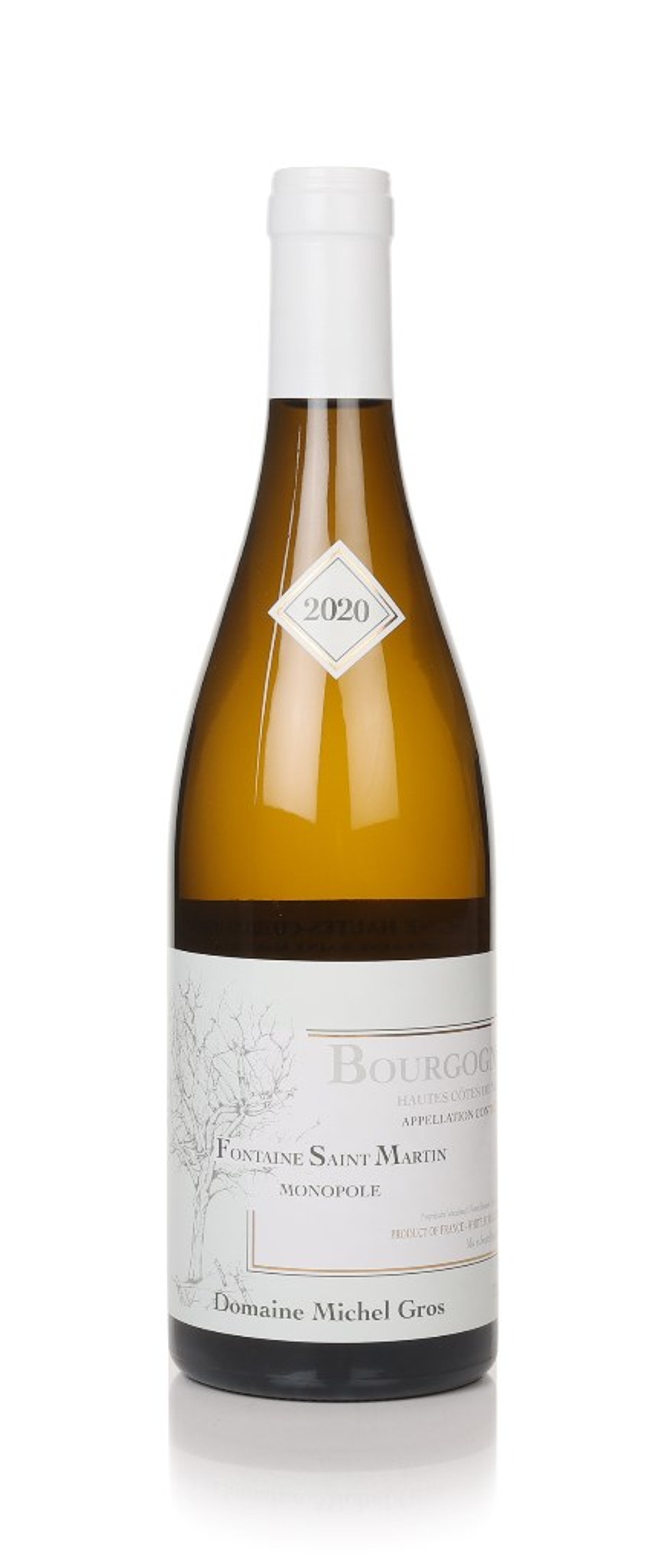 Domaine Michel Gros Fontaine Saint Martin Blanc 2020 75cl
