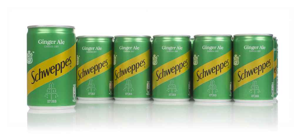 Schweppes Ginger Ale (24 x 150ml) 360cl product image